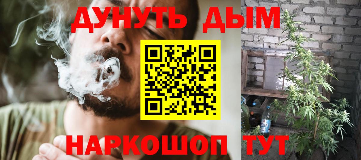 Бошки Шишки THC 21%  Бошки марихуана план  Вход с VPN  Саров  МАРИХУАНА марихуана 